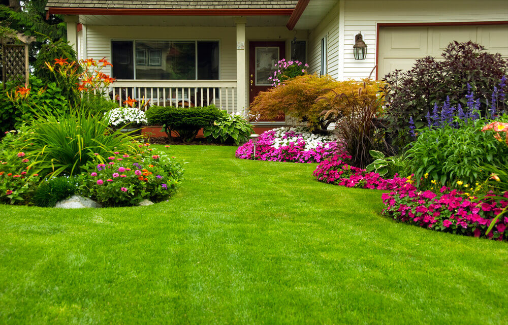 colcoar plantas para jardim